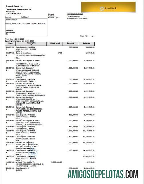 Extrato de conta do Banco Soneri do Paquistão para impressão, modelo Word e PDF